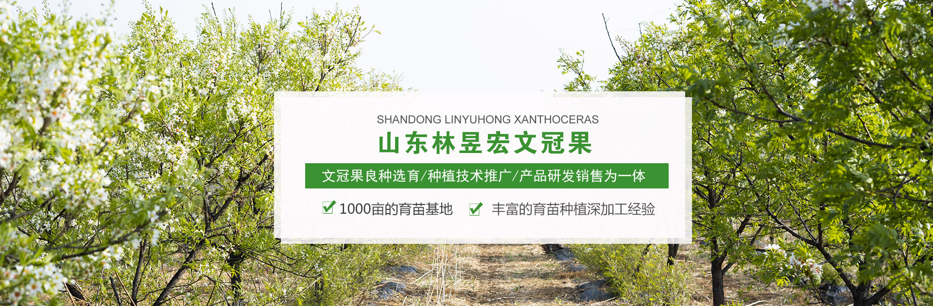 正版马内部传真资料